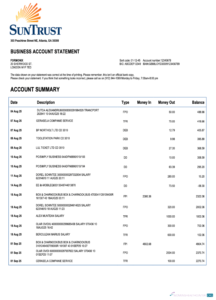 Download USA Georgian Sun Trust enterprise account statement Word and PDF template Photoshop template